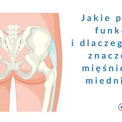 Anatomia miednicy z zaznaczonymi mięśniami dna miednicy. Tekst pyta o ich funkcje i znaczenie.
