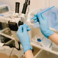 Ręce w niebieskich rękawiczkach przygotowują narzędzia do gbs badanie. W tle mikroskop i sprzęt medyczny.