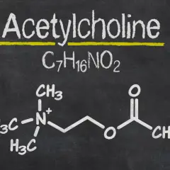 Struktura chemiczna acetylocholiny, kluczowego neuroprzekaźnika, przedstawiona na tablicy.