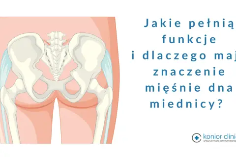 Anatomia miednicy z zaznaczonymi mięśniami dna miednicy. Tekst pyta o ich funkcje i znaczenie.