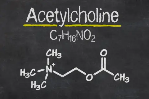 Struktura chemiczna acetylocholiny, kluczowego neuroprzekaźnika, przedstawiona na tablicy.