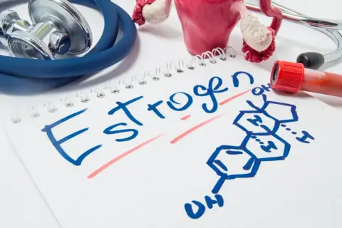 Model narządu rodnego, stetoskop, probówka z krwią i wzór chemiczny estrogenów na notatniku.