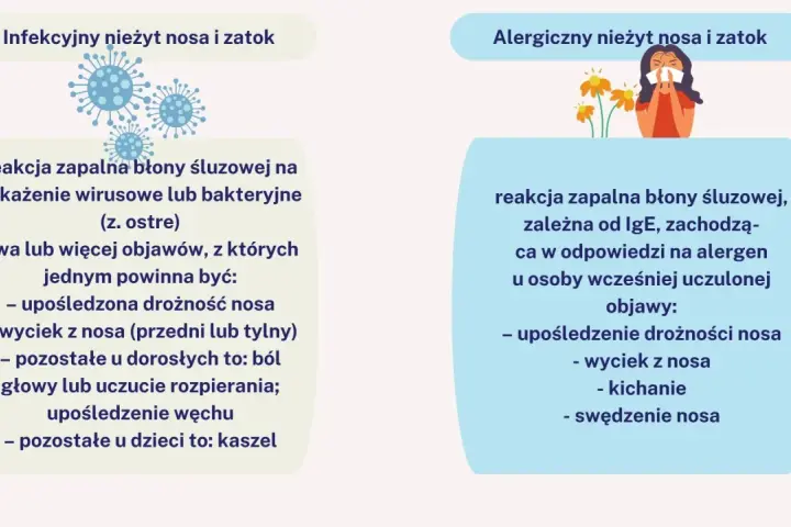 Przewlekły nieżyt nosa może być infekcyjny (wirusowy/bakteryjny) lub alergiczny. Objawy to m.in. zatkany nos, katar, kichanie.