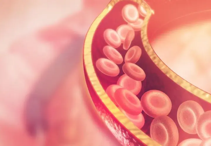 Przekrój naczynia krwionośnego z czerwonymi krwinkami. Wysoki poziom lipoproteiny może wpływać na przepływ.