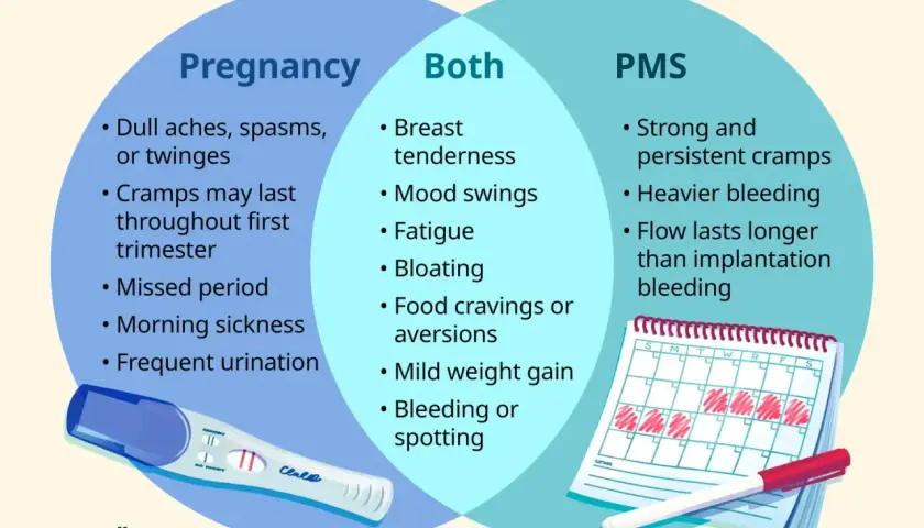 Porównanie objawów ciąży i PMS: bóle, wahania nastroju, zmęczenie, wzdęcia, zachcianki, plamienia. Kalendarzyk menstruacyjny i test ciążowy.