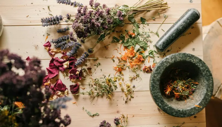 Homeopatia: Recepta czy bez? Poznaj zasady i miejsca zakupu!