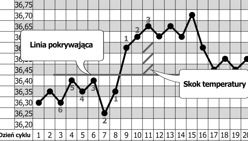 Wykres temperatury ciała, wskazujący na owulację kiedy następuje skok temperatury.