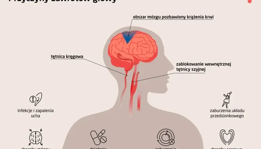 Schemat przyczyn zawrotów głowy: problemy z błędnikiem, infekcje ucha, choroby mózgu, zaburzenia metaboliczne, sercowo-naczyniowe, leki, blokady tętnic.