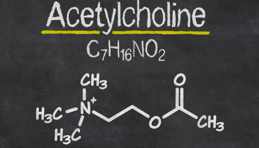 Struktura chemiczna acetylocholiny, kluczowego neuroprzekaźnika, przedstawiona na tablicy.