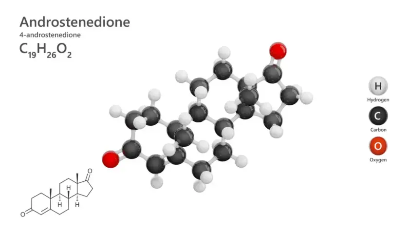 Model cząsteczki androstendionu, z atomami węgla (czarne), wodoru (białe) i tlenu (czerwone). Wzór chemiczny C₁₉H₂₆O₂.