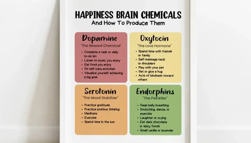 Plakat "HAPPINESS BRAIN CHEMICALS" opisuje dopaminę, oksytocynę, serotoninę i endorfiny. Oksytocyna, "hormon szczęścia", jest produkowana przez bliskość z bliskimi.