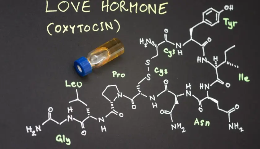 Struktura chemiczna oksytocyny, hormonu miłości, obok fiolki z płynem.