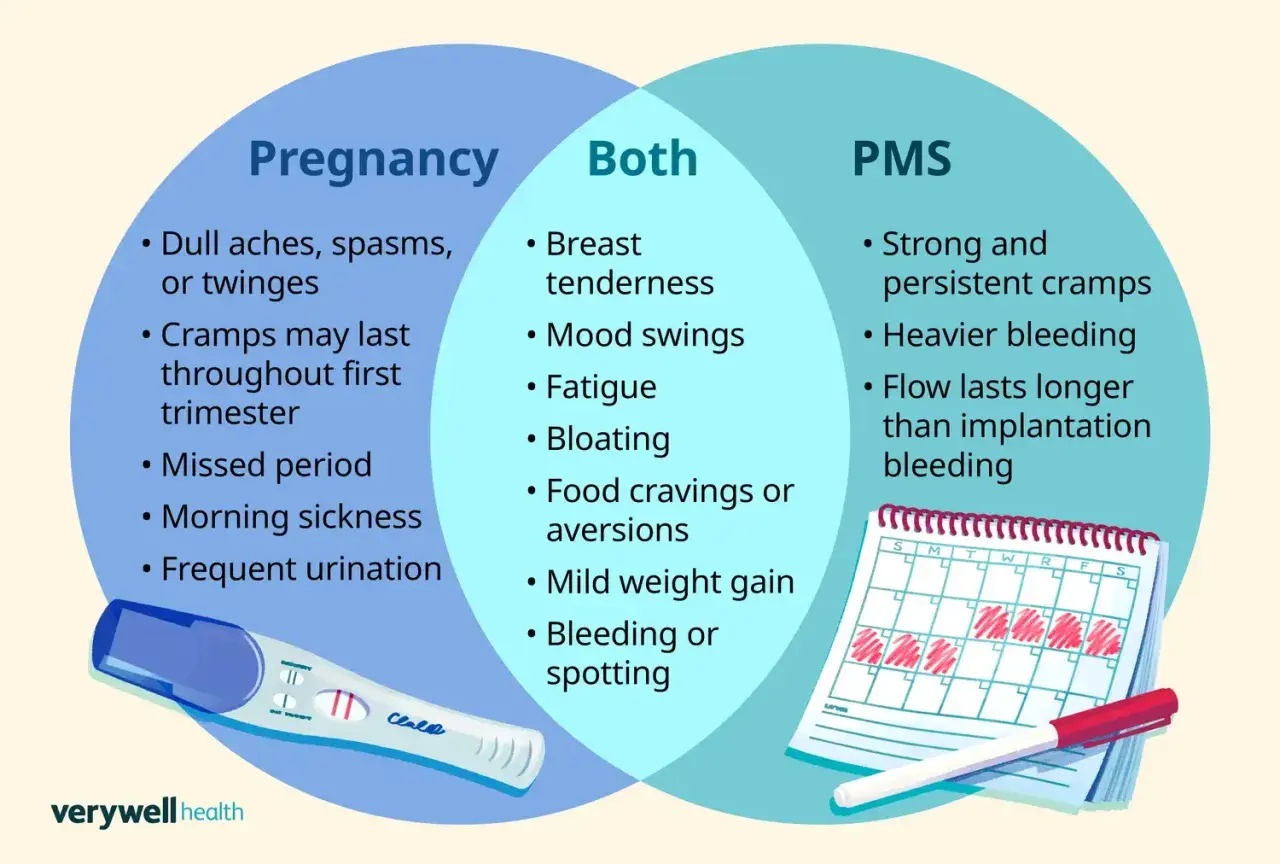 Porównanie objawów ciąży i PMS: bóle, wahania nastroju, zmęczenie, wzdęcia, zachcianki, plamienia. Kalendarzyk menstruacyjny i test ciążowy.