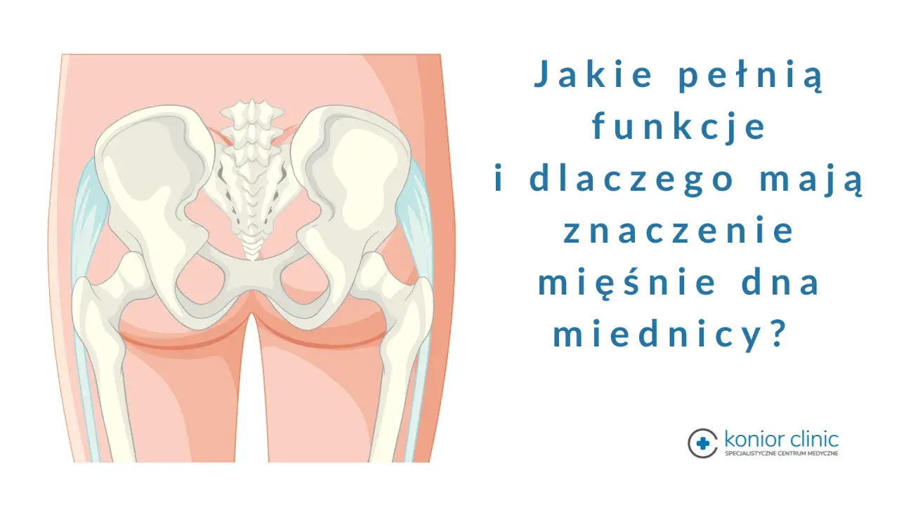 Anatomia miednicy z zaznaczonymi mięśniami dna miednicy. Tekst pyta o ich funkcje i znaczenie.